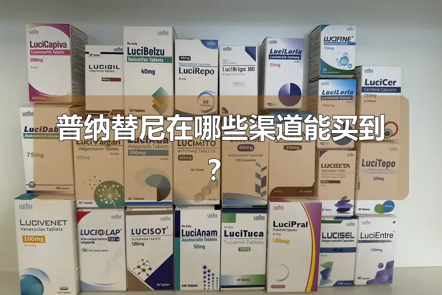 普纳替尼在哪些渠道能买到？